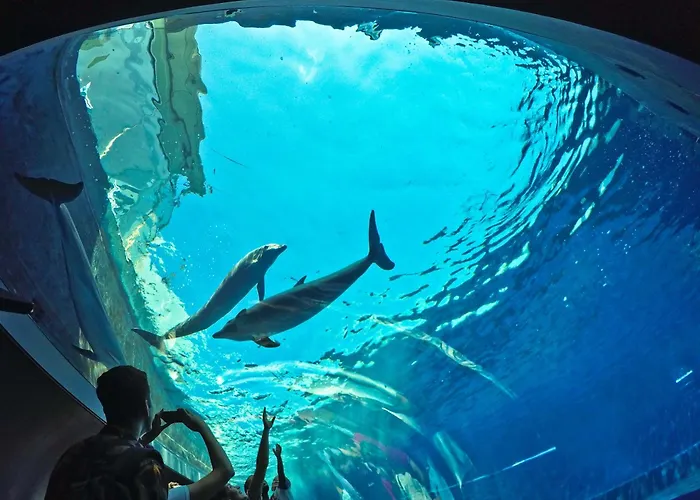 公寓 Casa Marina Nel Cuore Di 热那亚