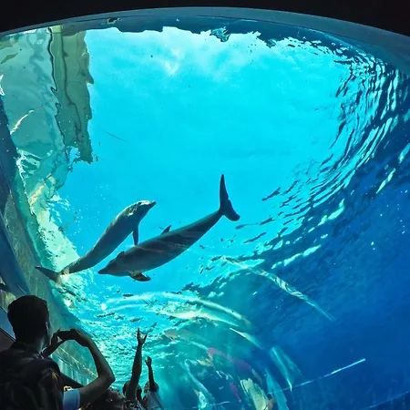 Διαμέρισμα Casa Marina Nel Cuore Di Γένοβα